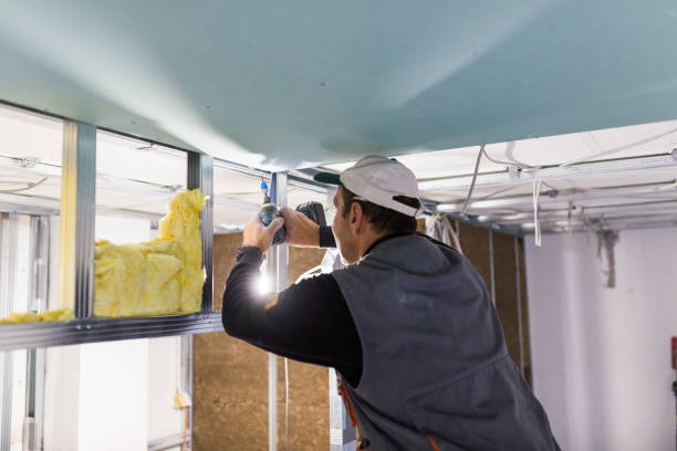 Best Spray Foam Insulation in Buchanan, MI