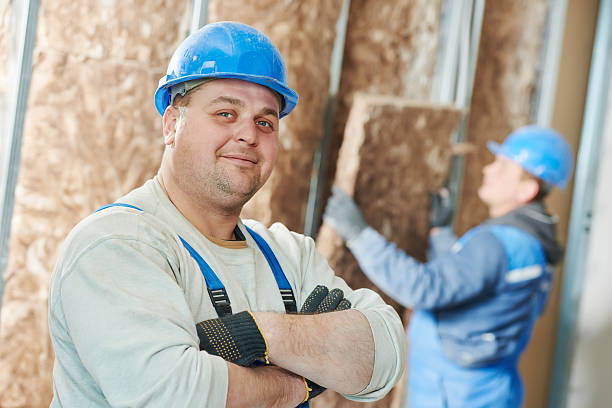 Best Specialized Insulation Services in Buchanan, MI