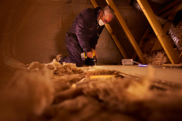 Best Commercial Insulation in Buchanan, MI